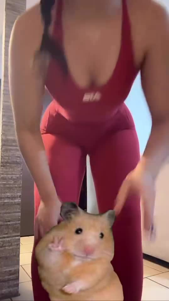 Video 447407 from Chxrryxblossom