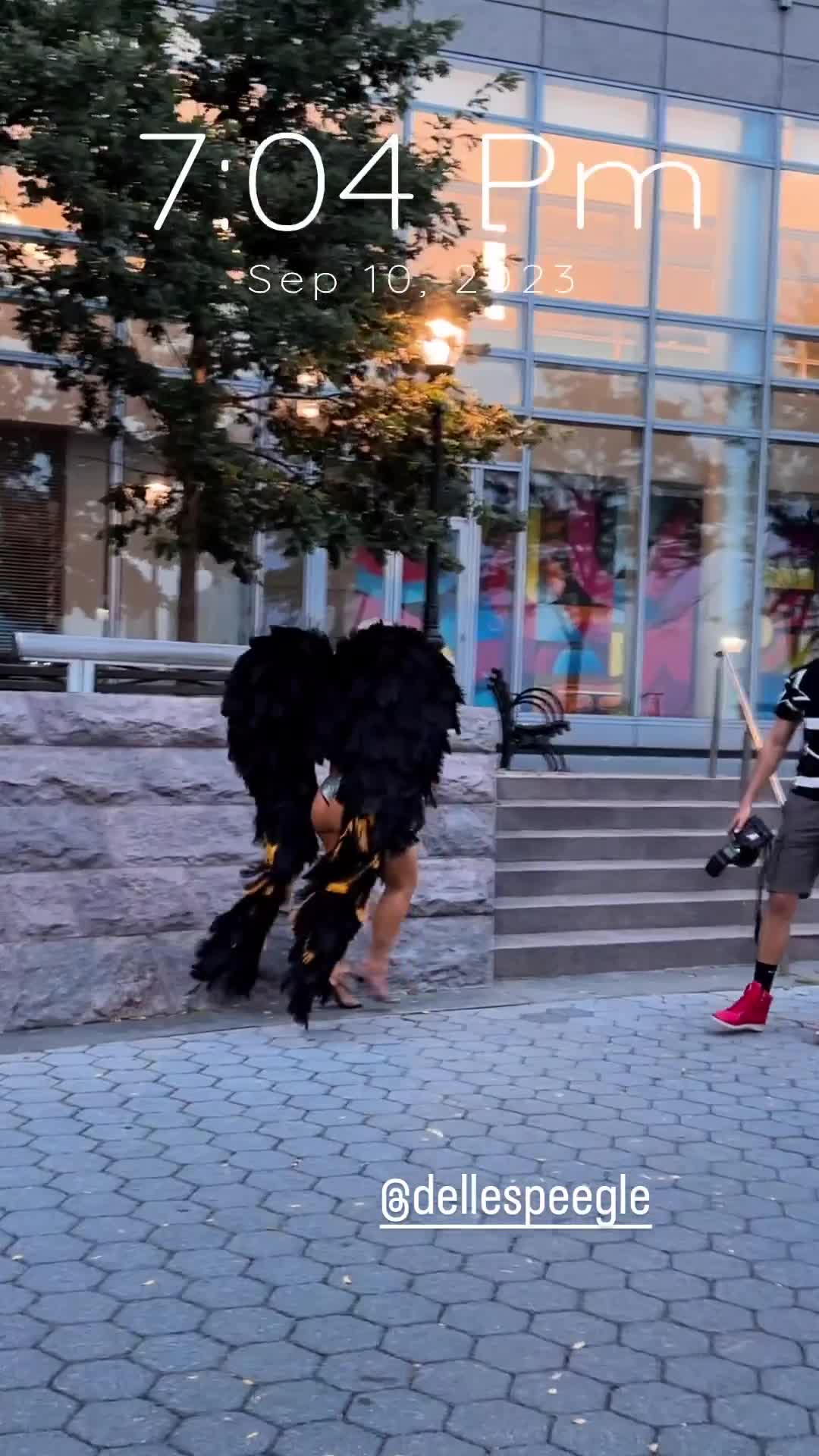 Video 448191 from Dani Speegle/ dellespeegle