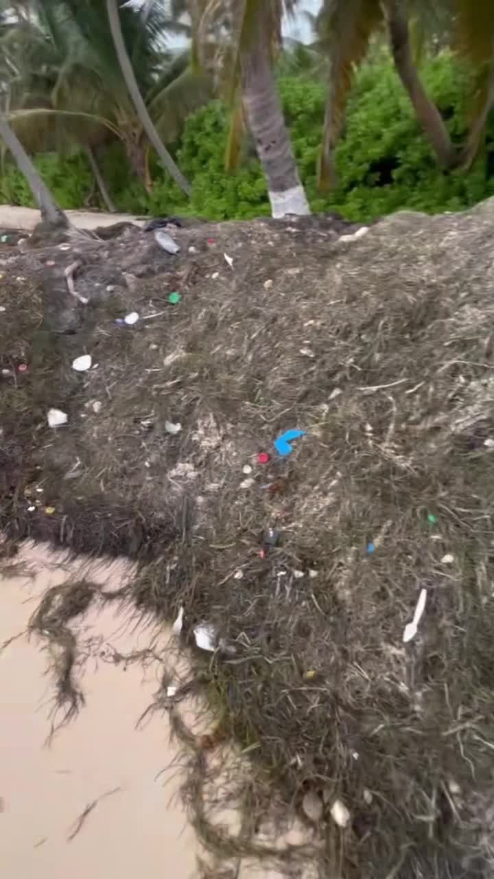 Video 448302 from Hannah Barron hannahbarron96