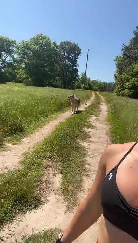 Video 448890 from Hannah Barron hannahbarron96