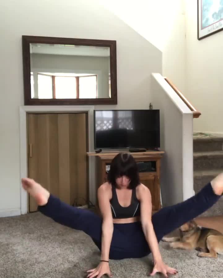 Video 448950 from leanbeefpatty | Lean Beef Patty