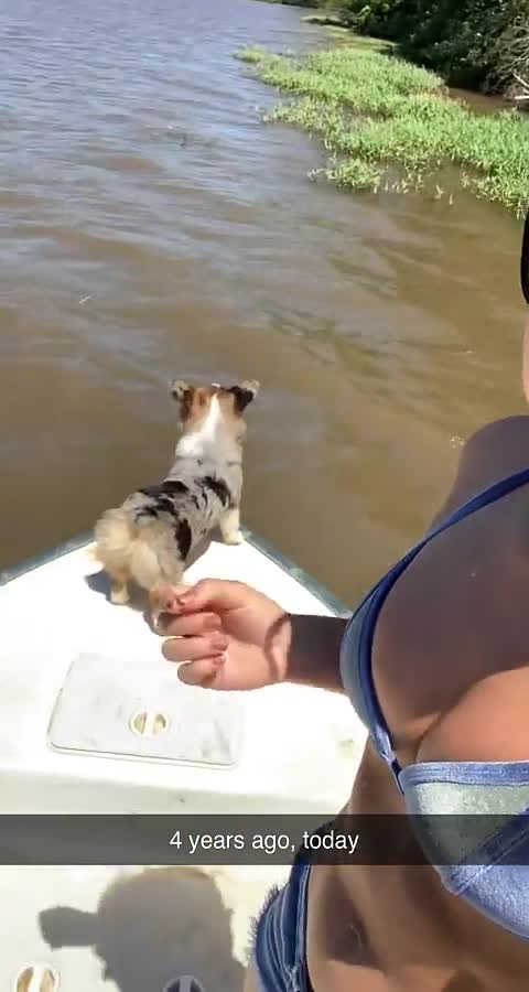 Video 448978 from Hannah Barron hannahbarron96