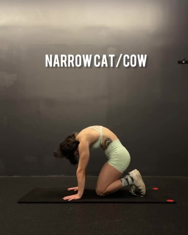 Video 450282 from leanbeefpatty | Lean Beef Patty