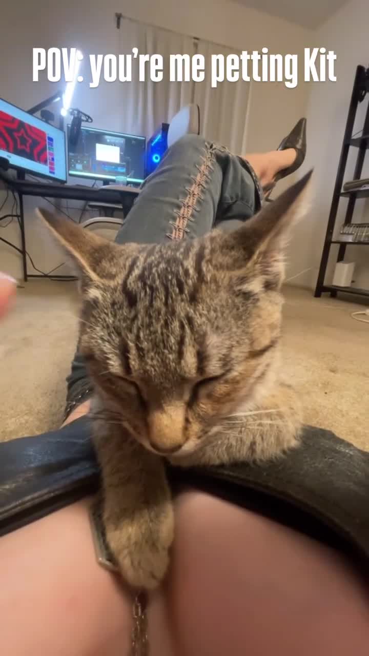 Video 451760 from leanbeefpatty | Lean Beef Patty