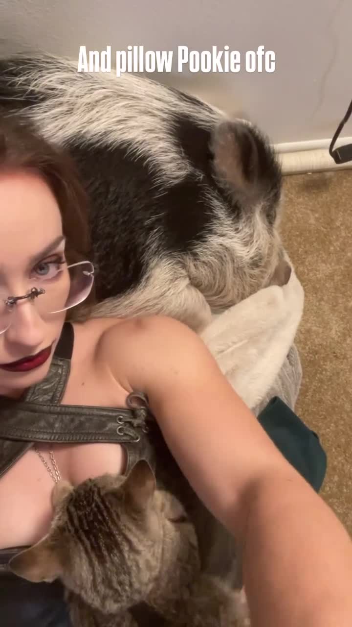 Video 451761 from leanbeefpatty | Lean Beef Patty