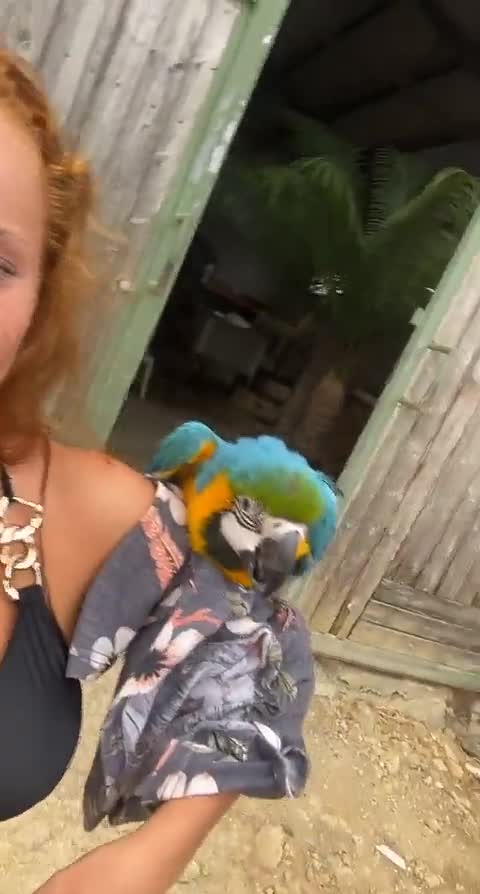 Video 455681 from ilonaaln