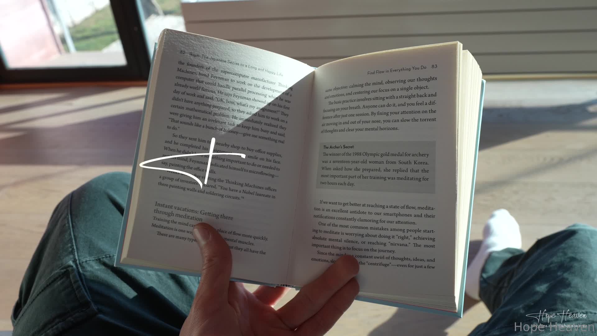 Video 534733 from HopeHeaven / HopeHeavenOfficial