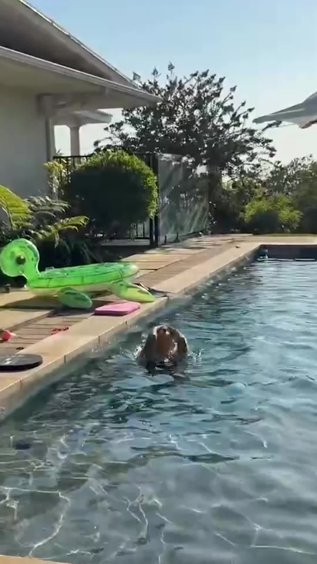 Video 580590 from Lea Martinez / slayeas