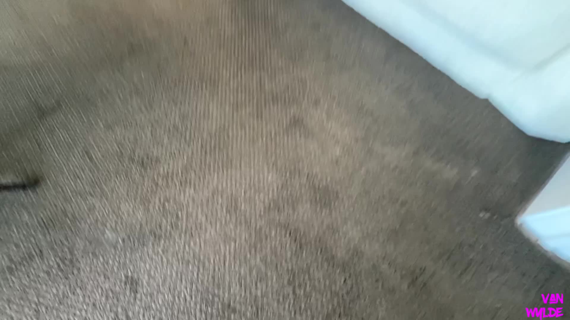 Video 581343 from Juliette Claire / @JulietteClaire