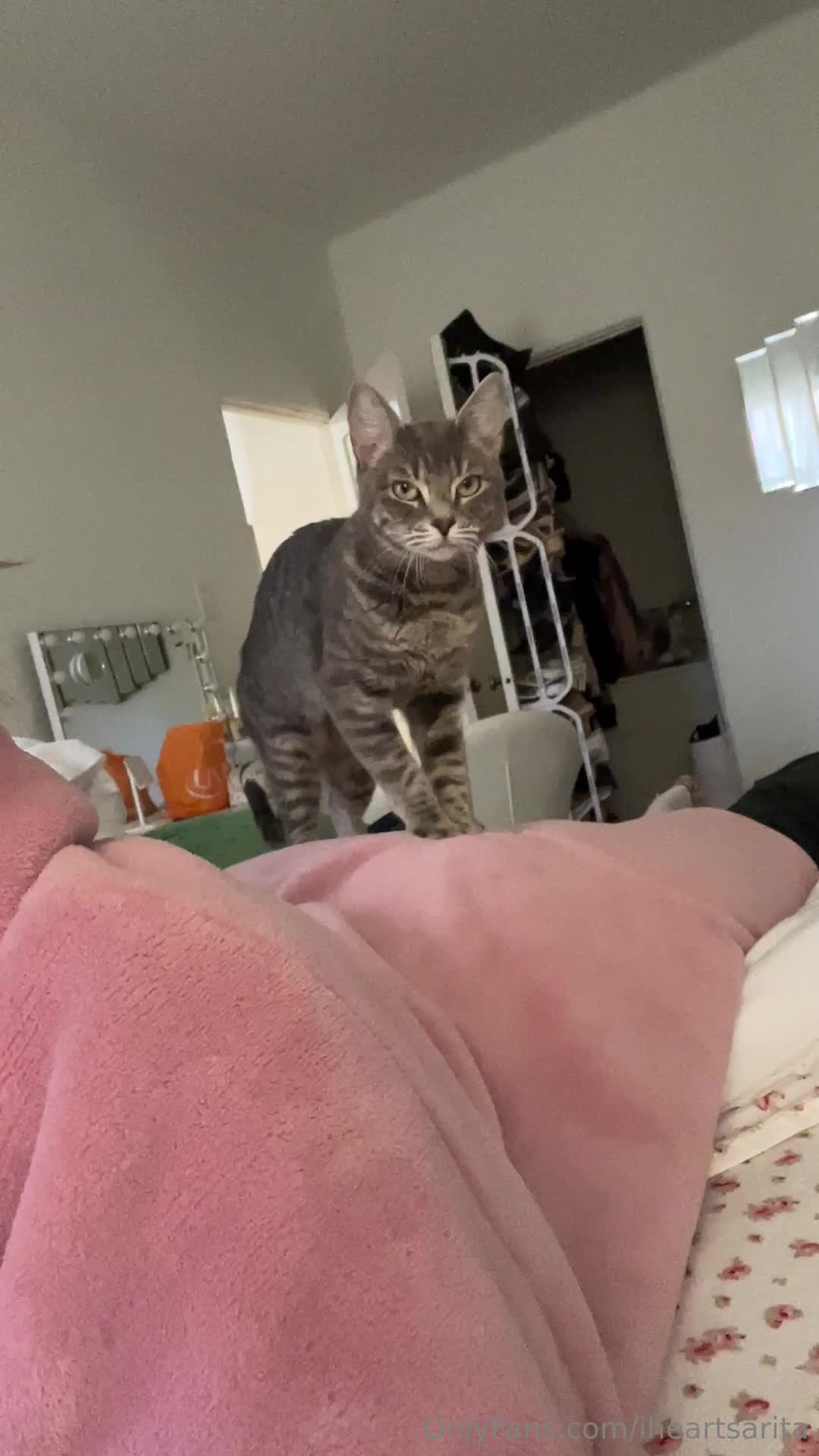 Video 581912 from Sarah Curr (@sarahcurr)