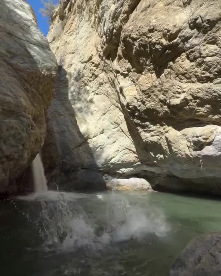 Video 581917 from Sarah Curr (@sarahcurr)