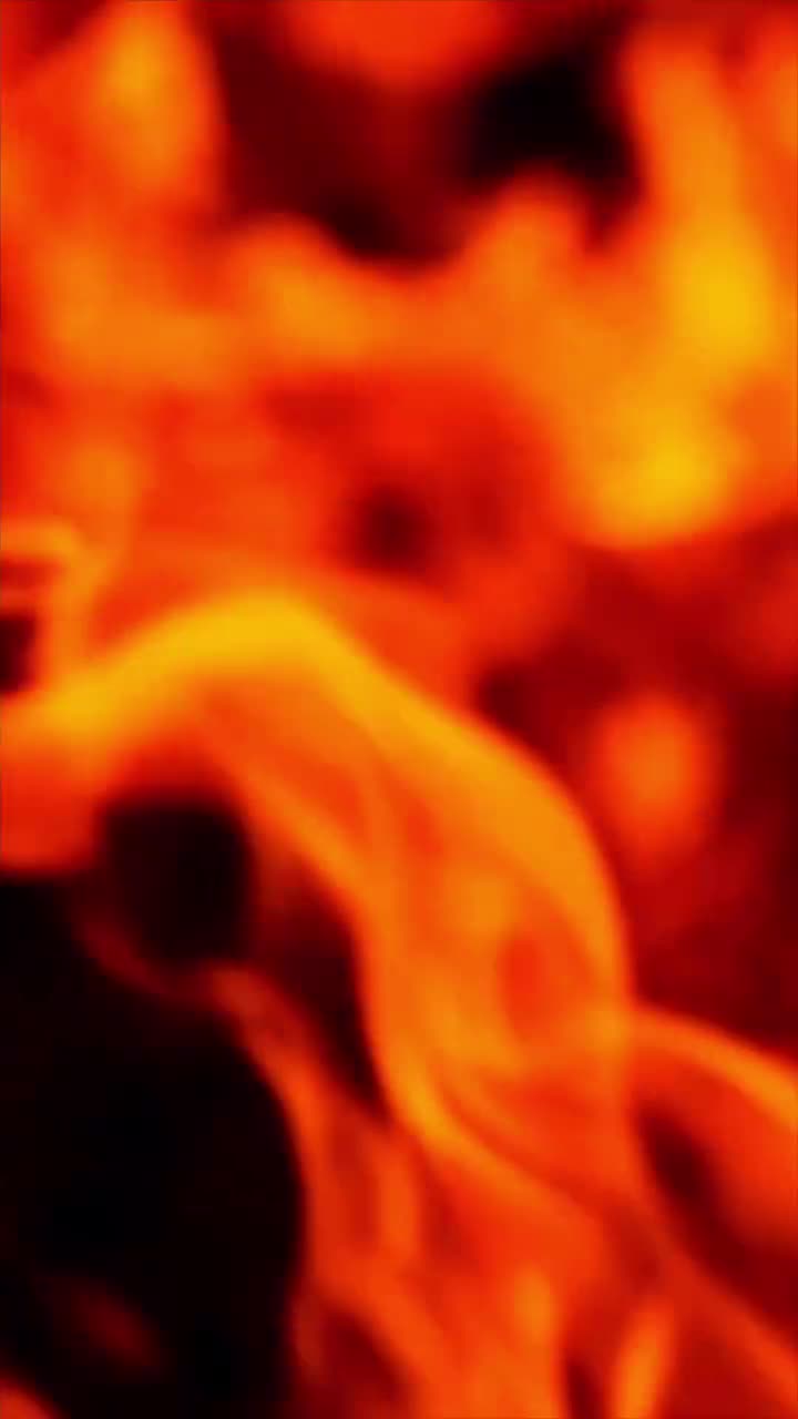 Video 583160 from Cecilia Rose (Cece Rose)