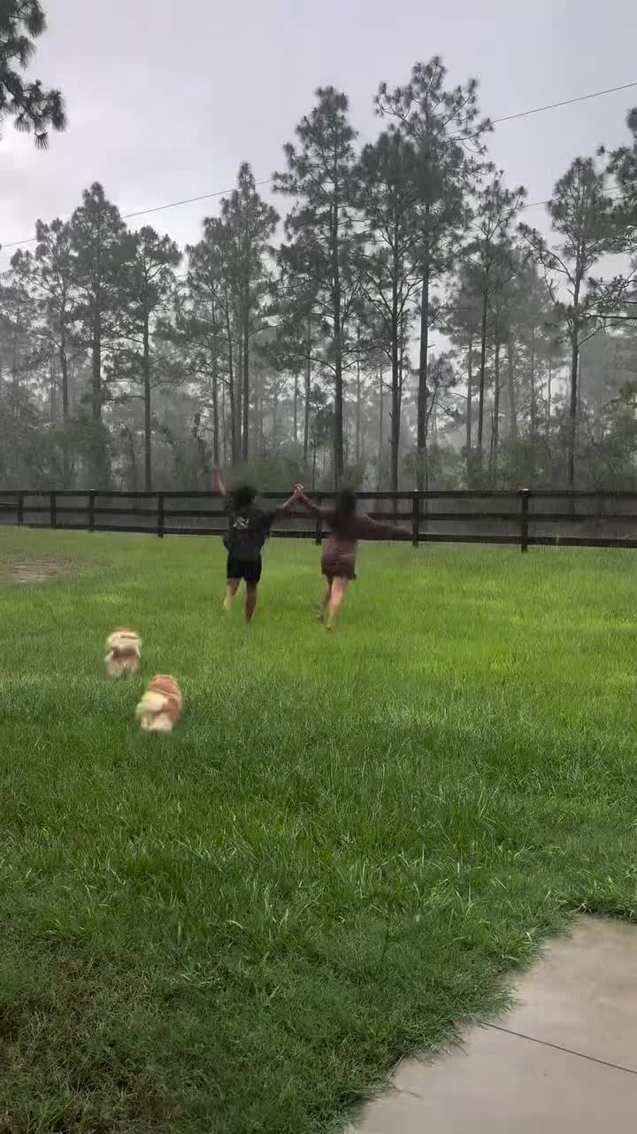 Video 583632 from Allure By Ana