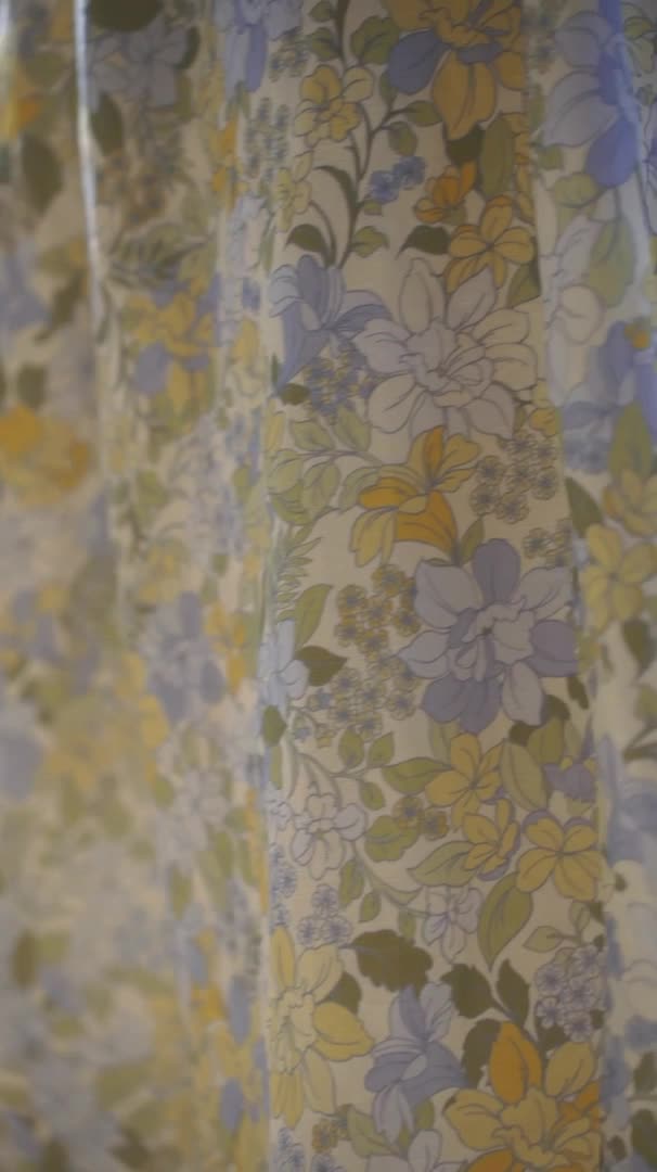 Video 586334 from Emily Feld - emily.feld