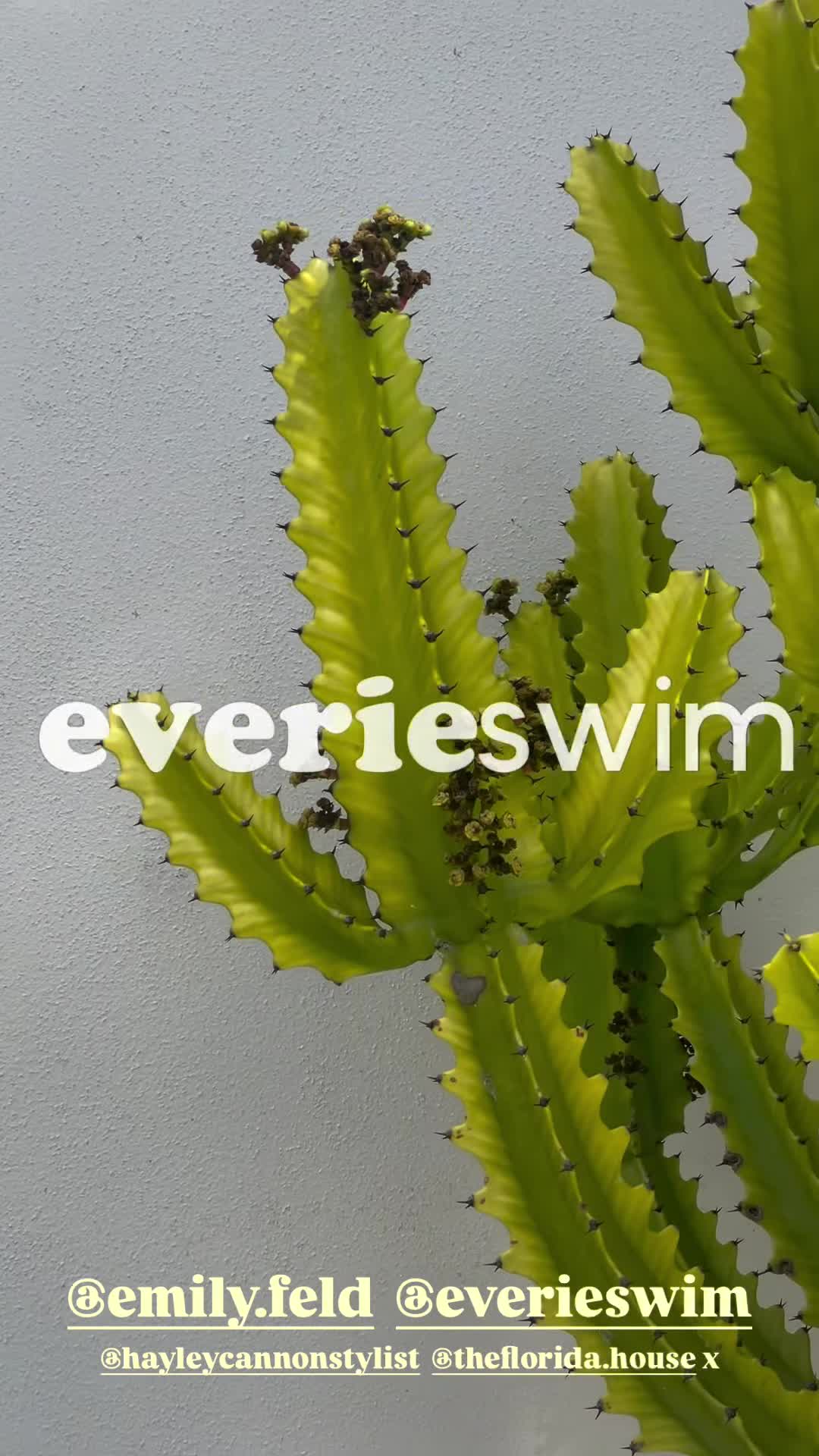 Video 586672 from Emily Feld - emily.feld