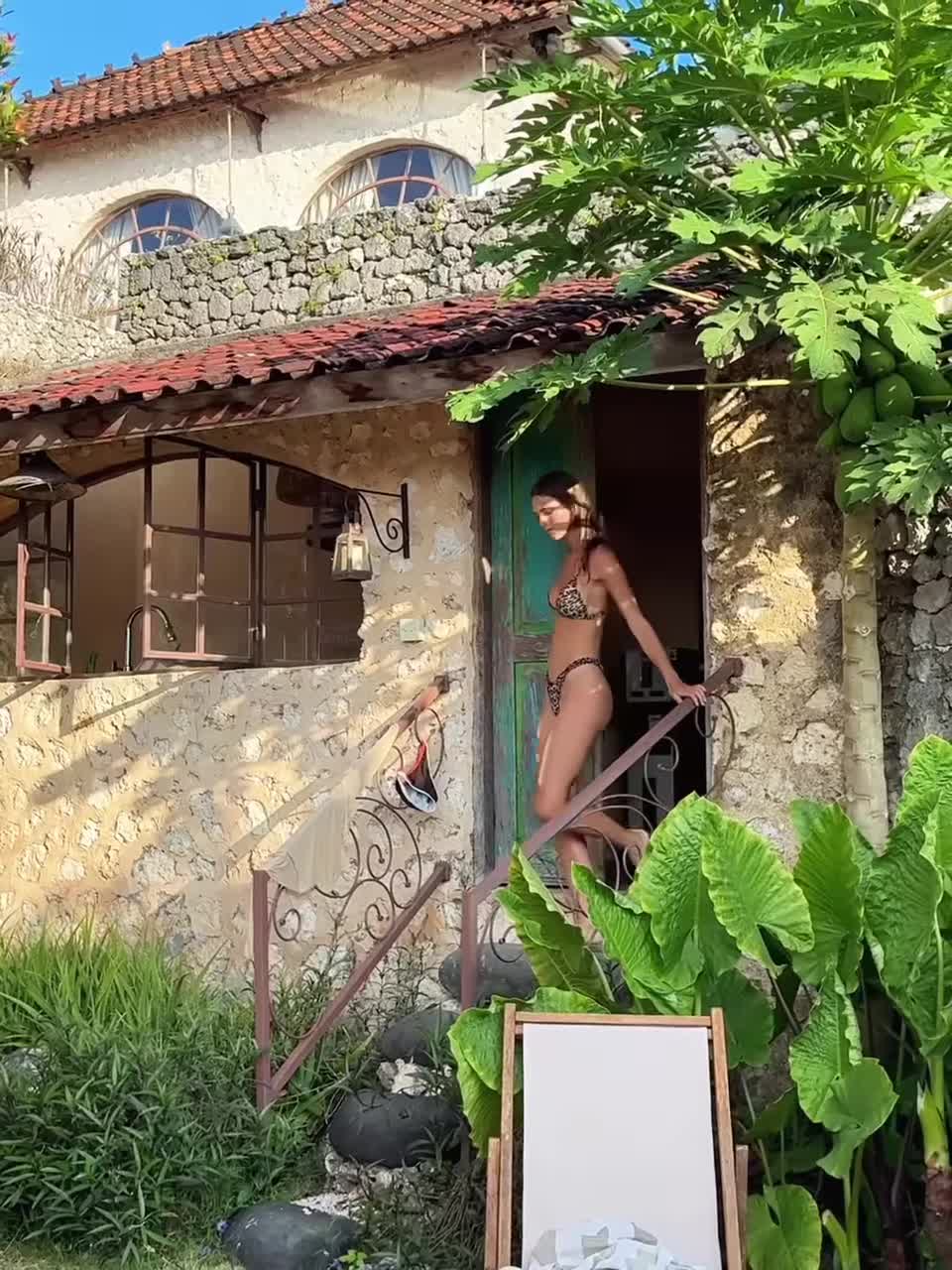 Video 586687 from Emily Feld - emily.feld