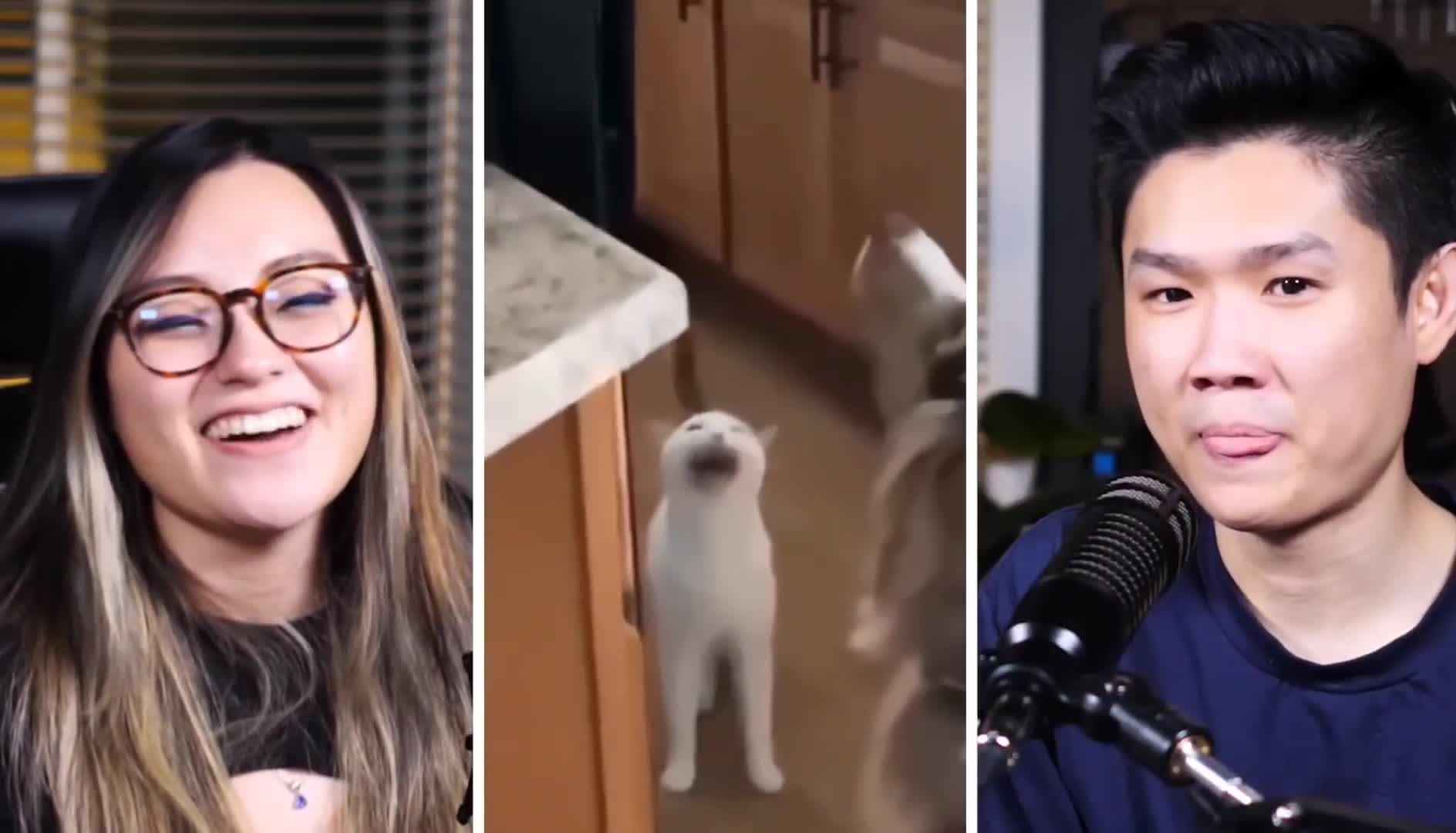 Video 587881 from PotasticPanda