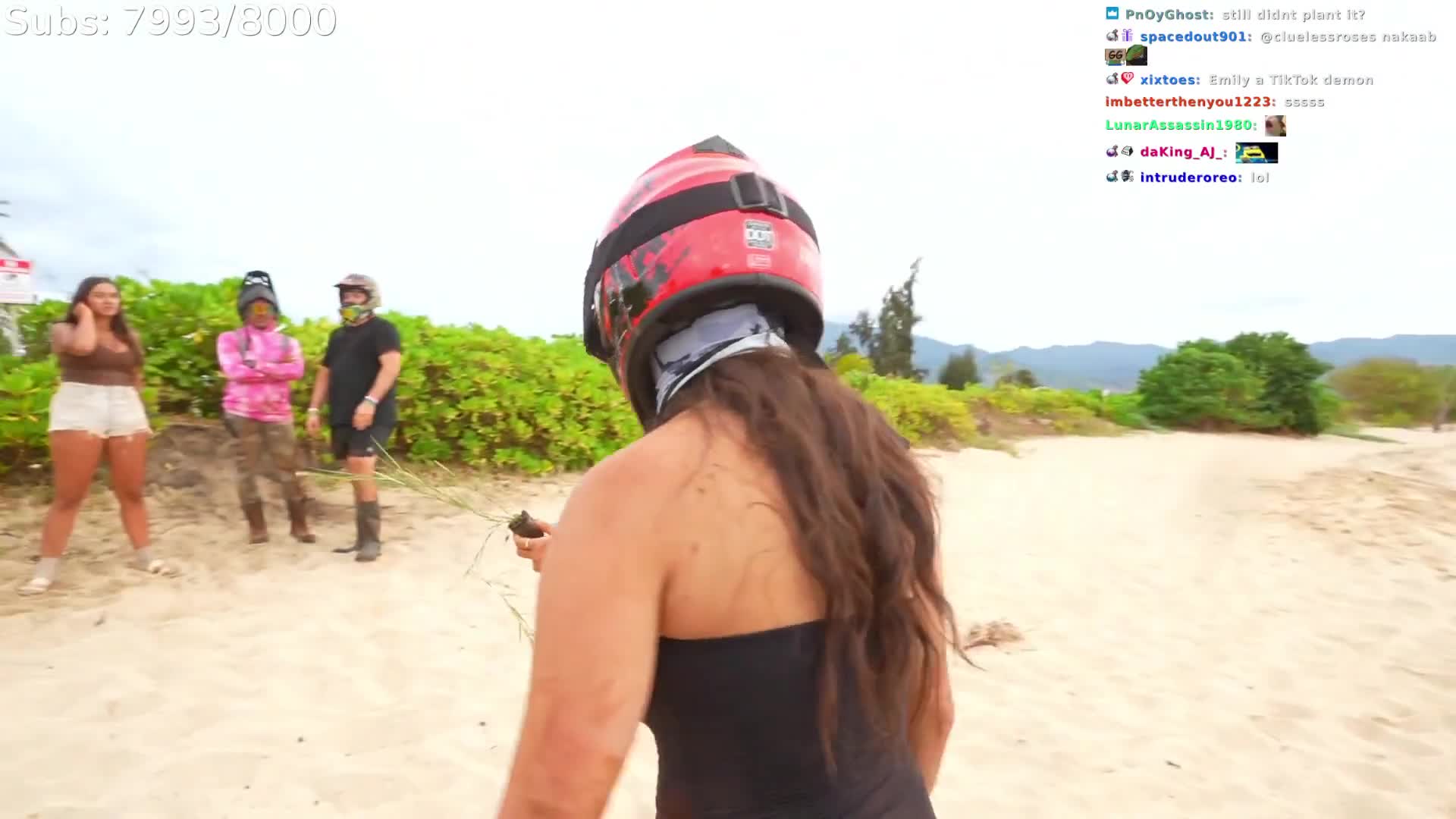 Video 588927 from Cinnabrit