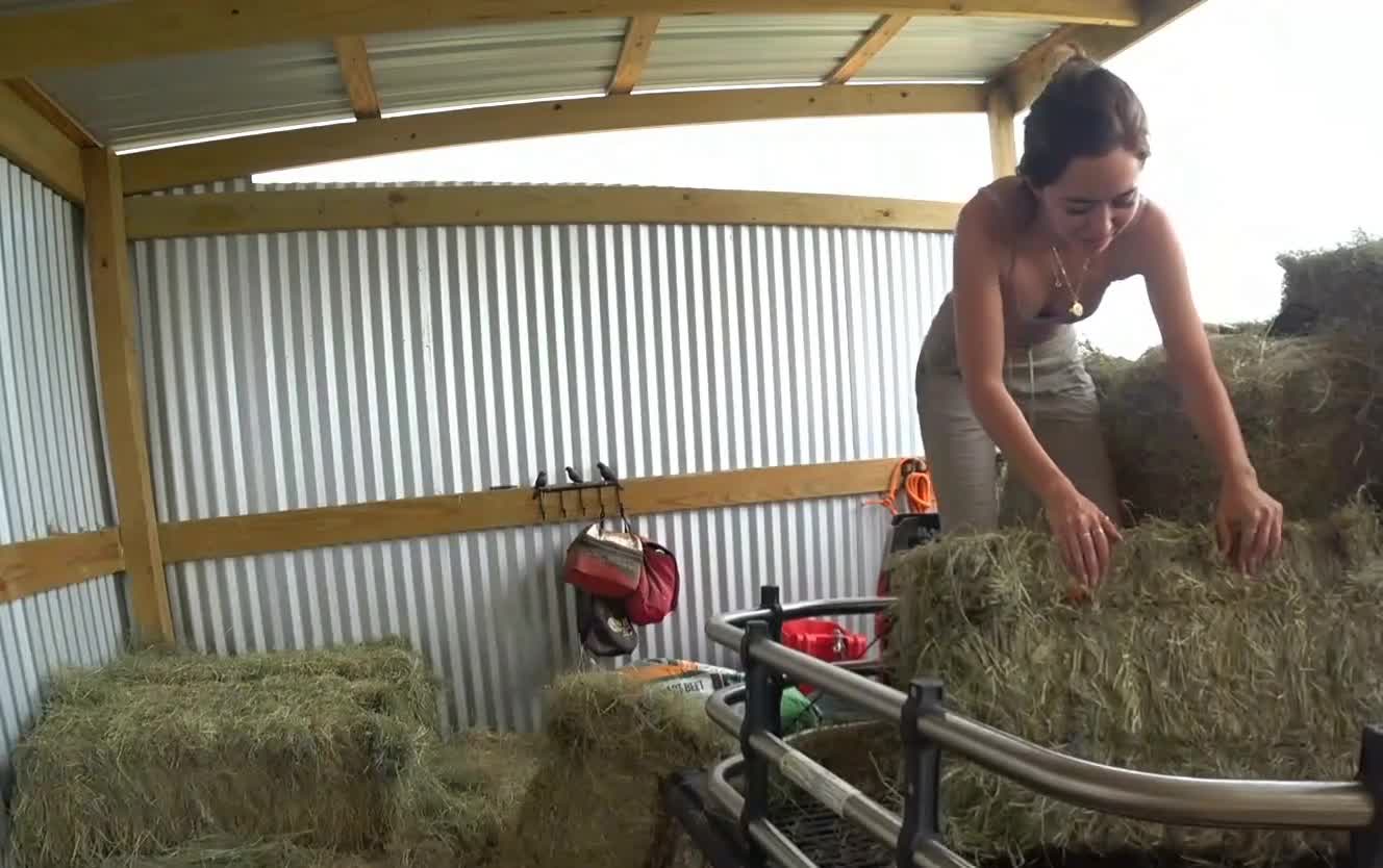 Video 589027 from Mayahiga | maya