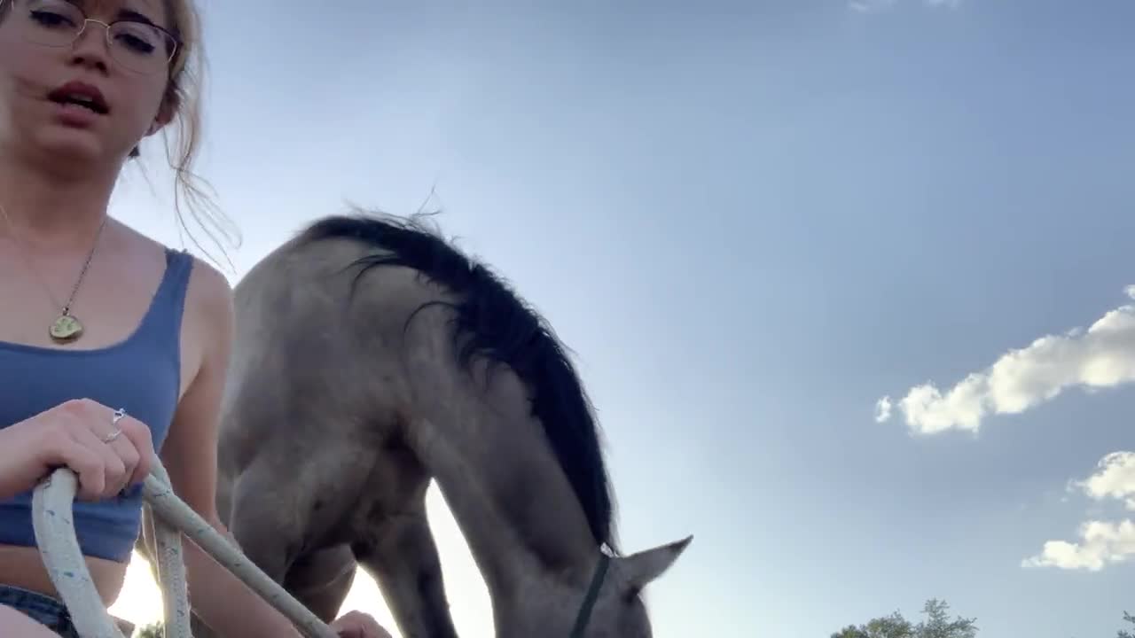 Video 589118 from Mayahiga | maya