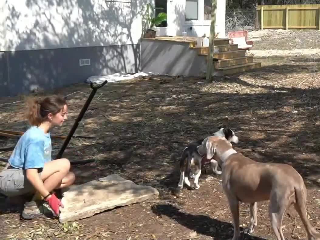 Video 589163 from Mayahiga | maya