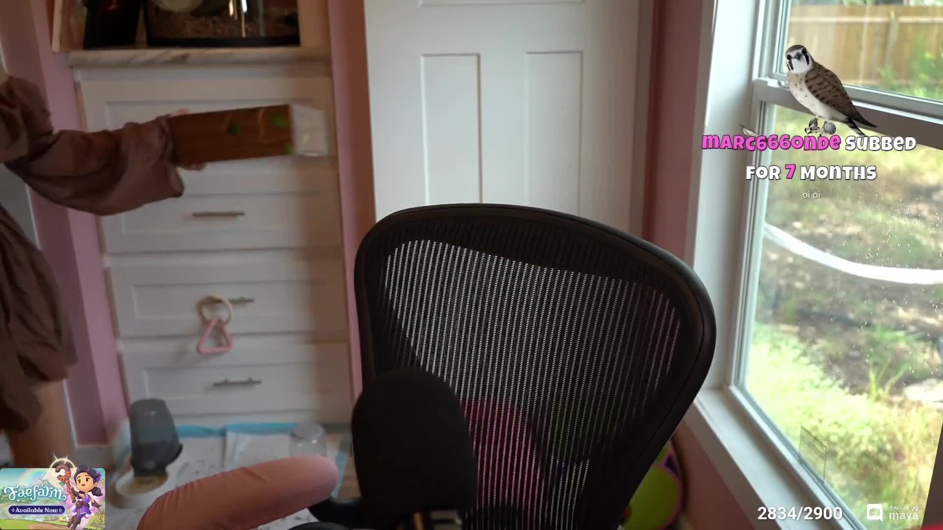 Video 589189 from Mayahiga | maya