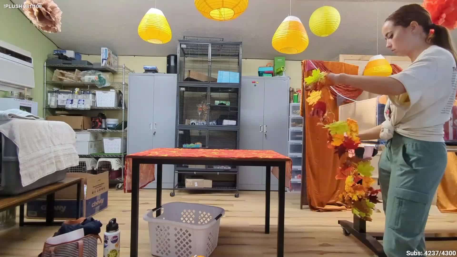 Video 589300 from Mayahiga | maya