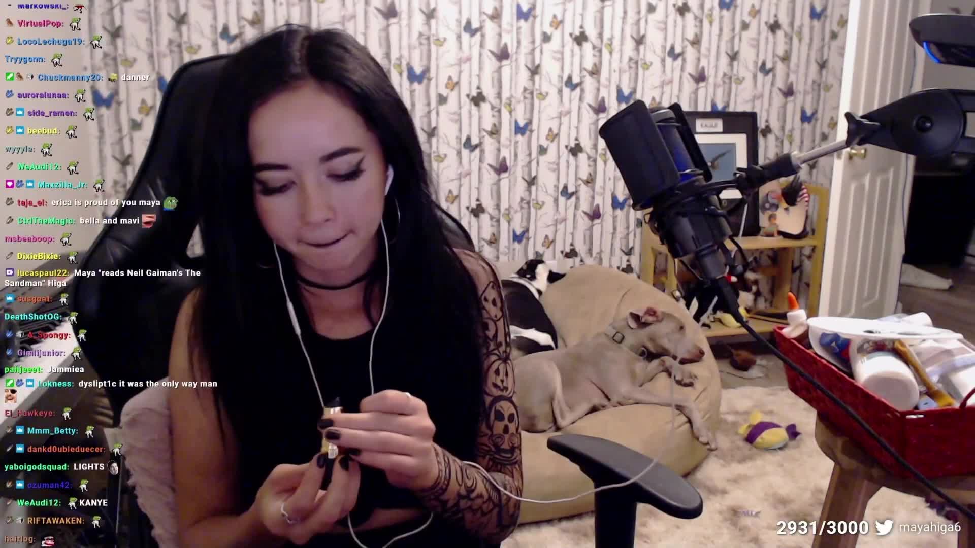 Video 589305 from Mayahiga | maya