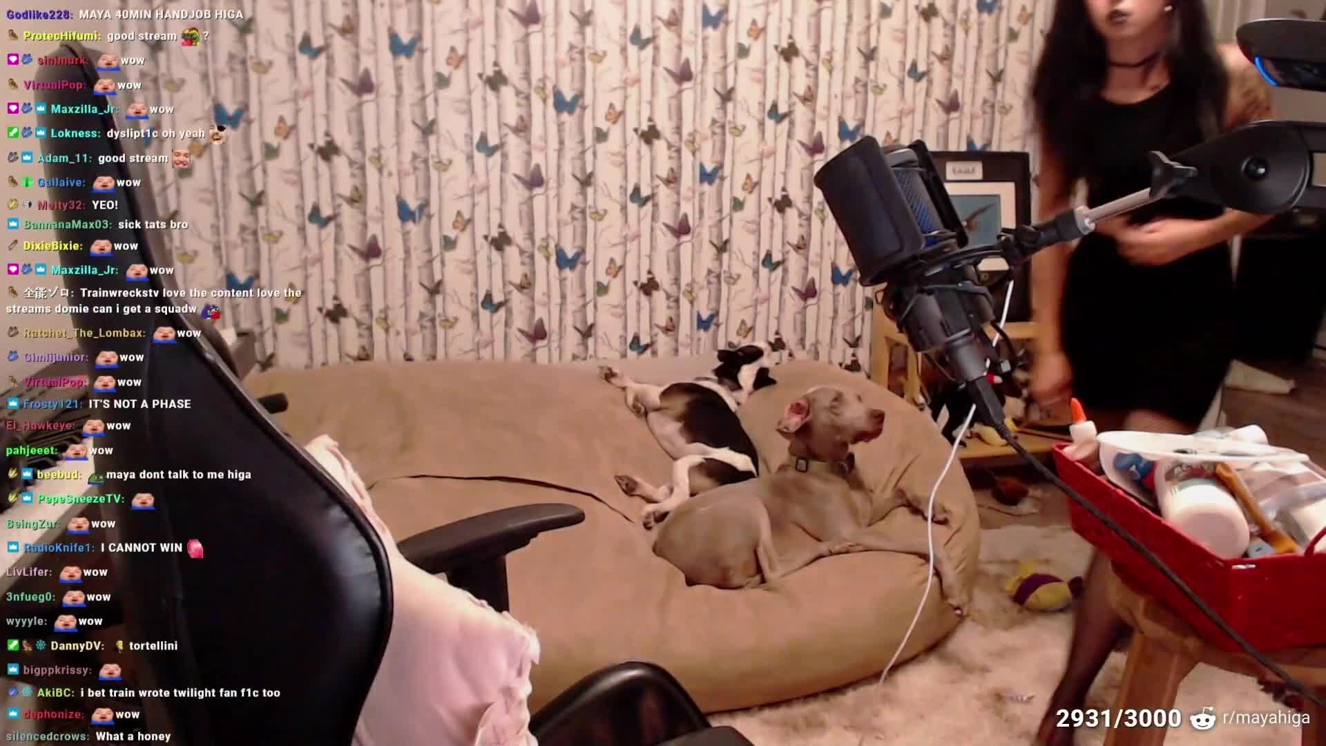 Video 589313 from Mayahiga | maya