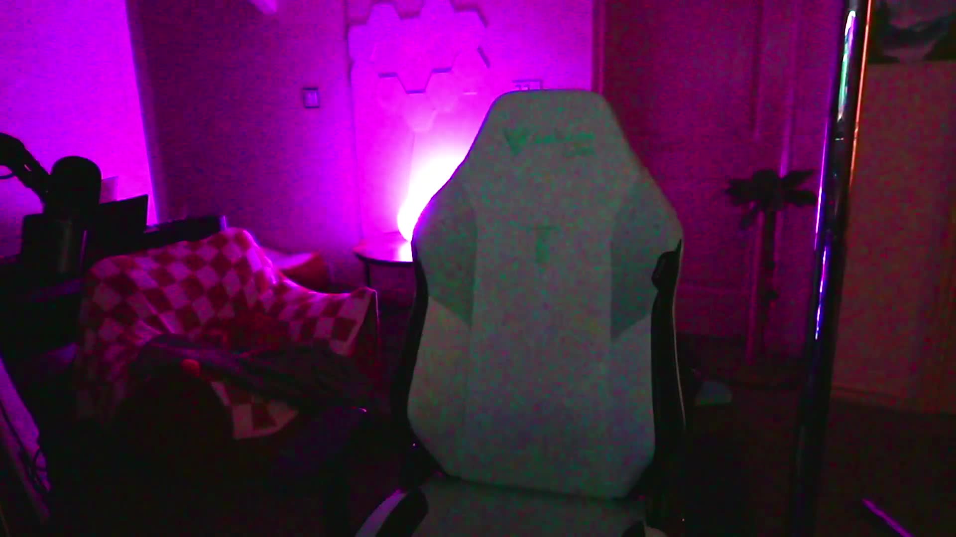 Video 589370 from CottontailVA