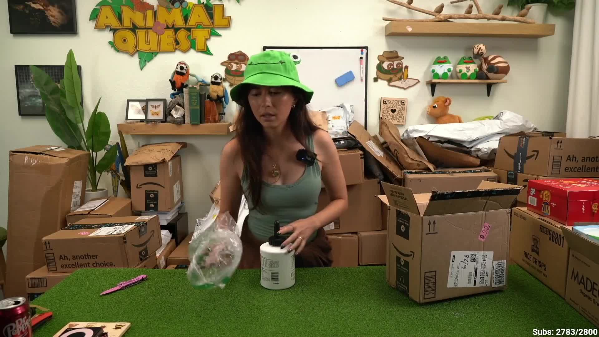 Video 589401 from Mayahiga | maya