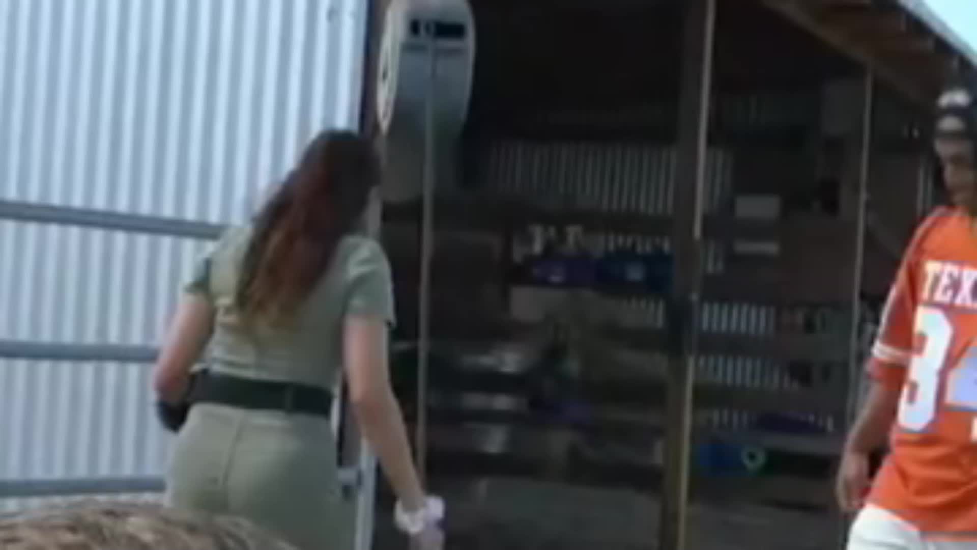 Video 589424 from Mayahiga | maya