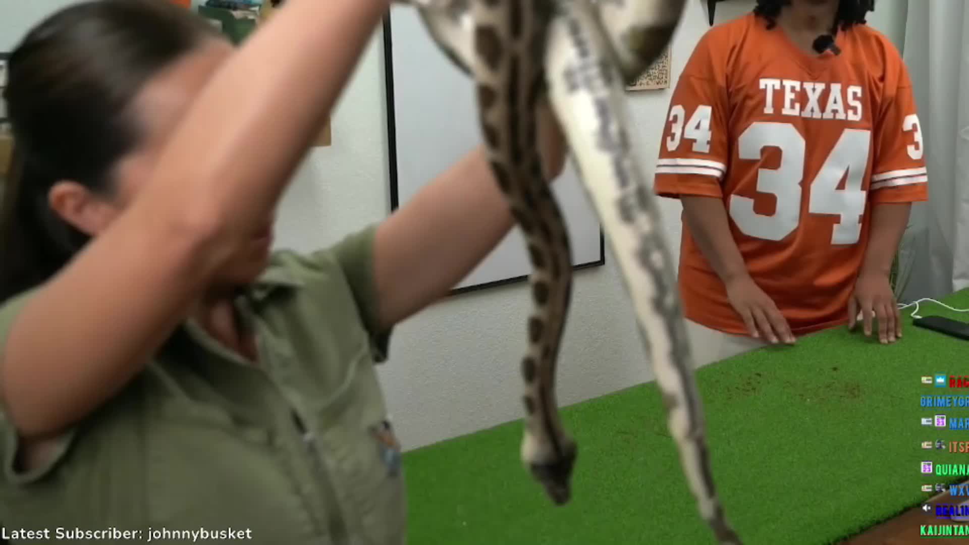 Video 589428 from Mayahiga | maya