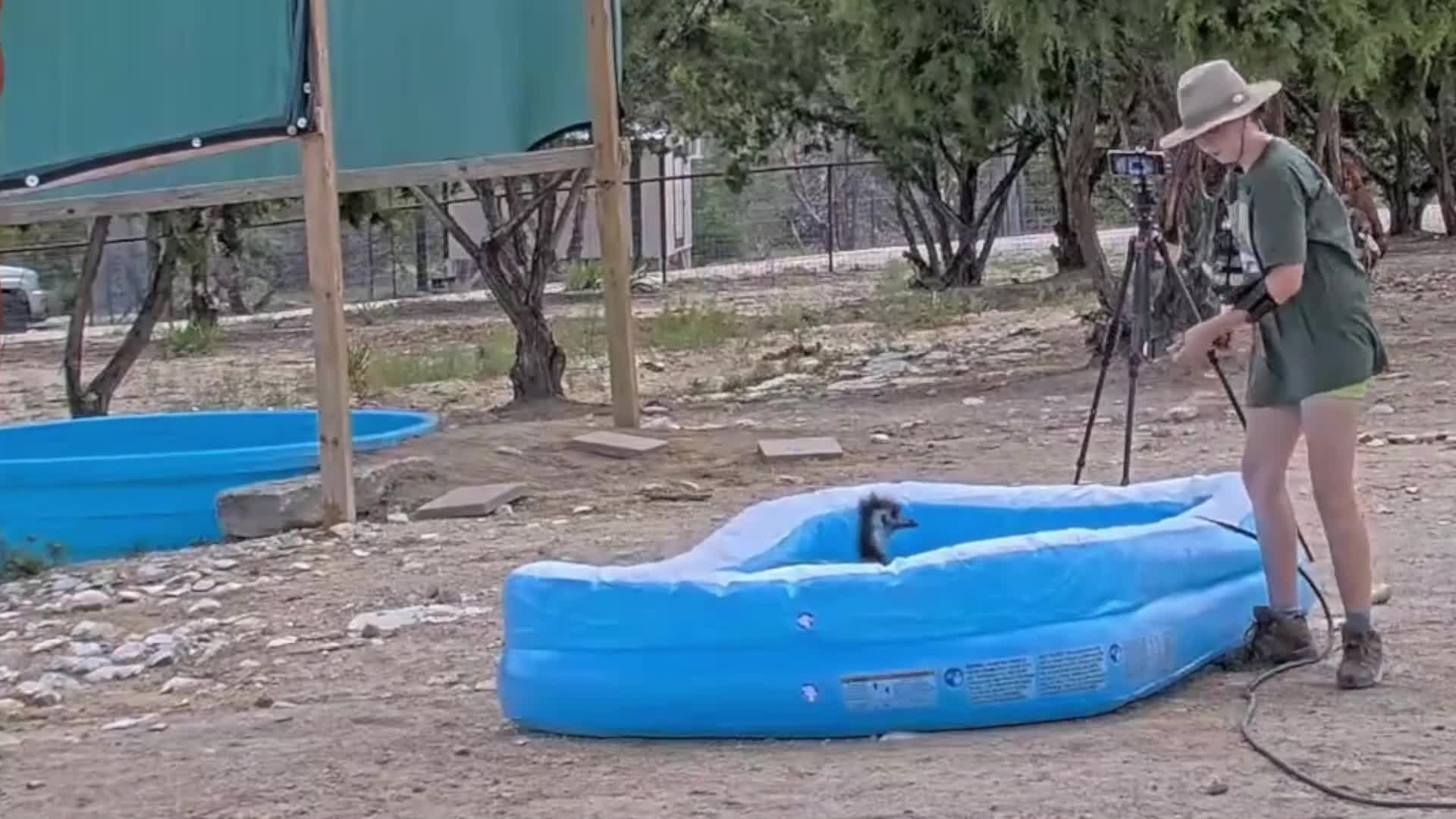 Video 589471 from Mayahiga | maya