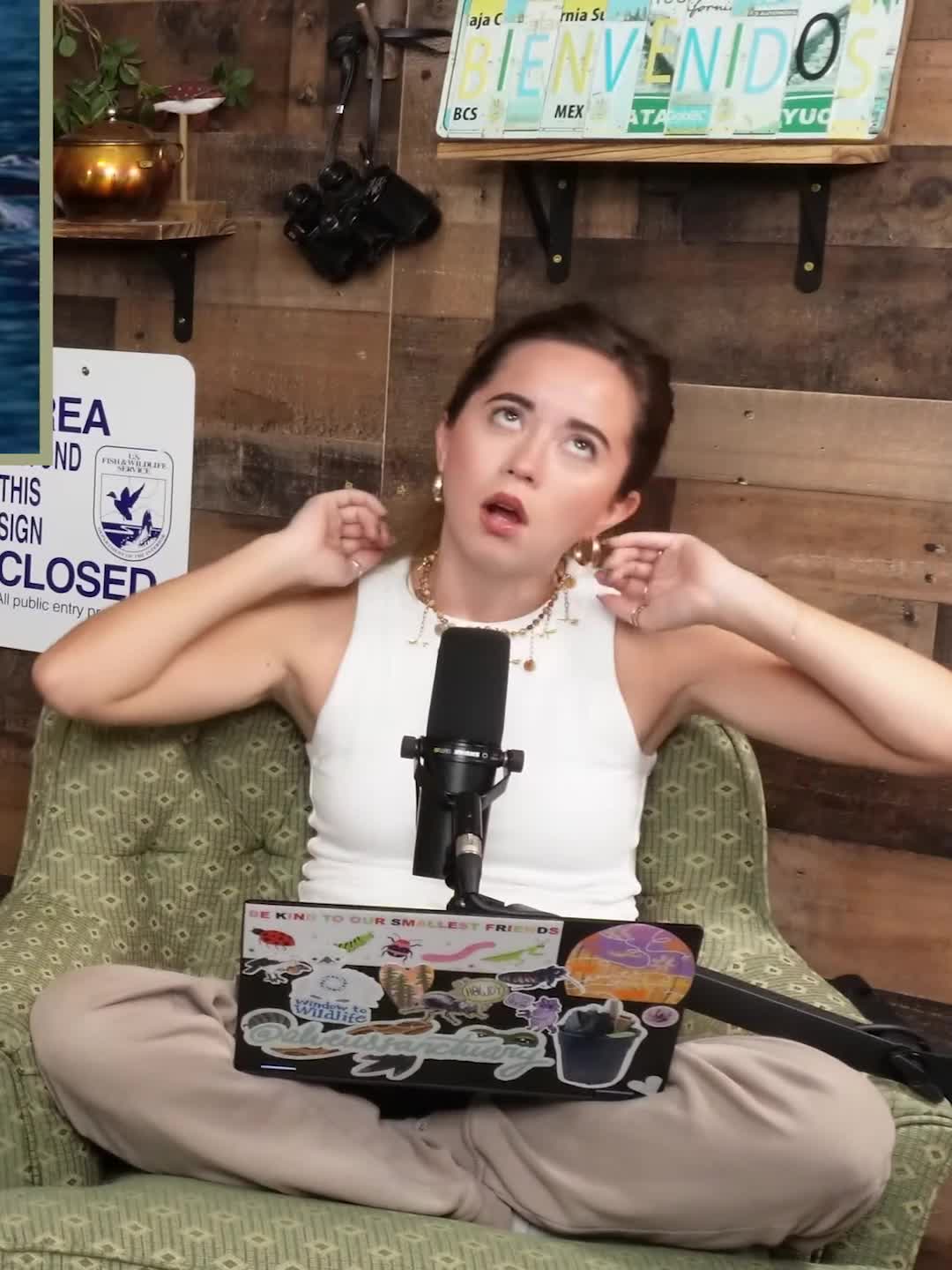 Video 589522 from Mayahiga | maya