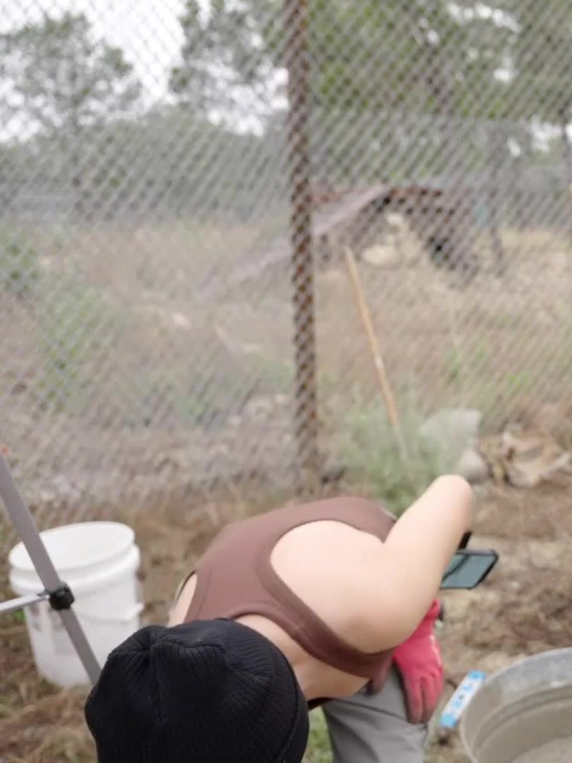 Video 589525 from Mayahiga | maya