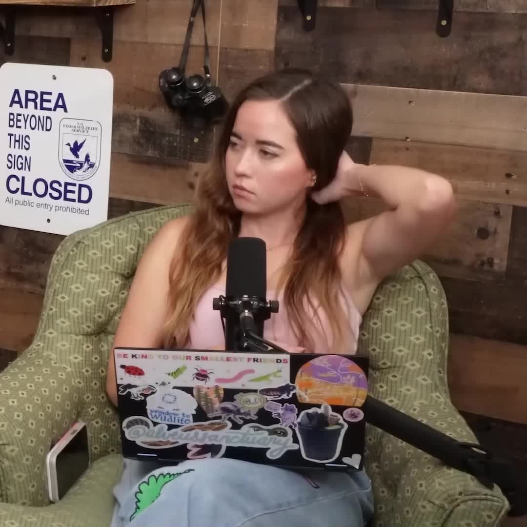 Video 589561 from Mayahiga | maya