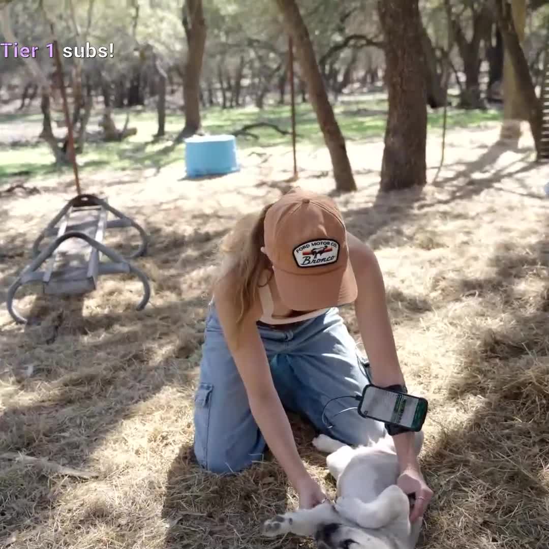 Video 589570 from Mayahiga | maya