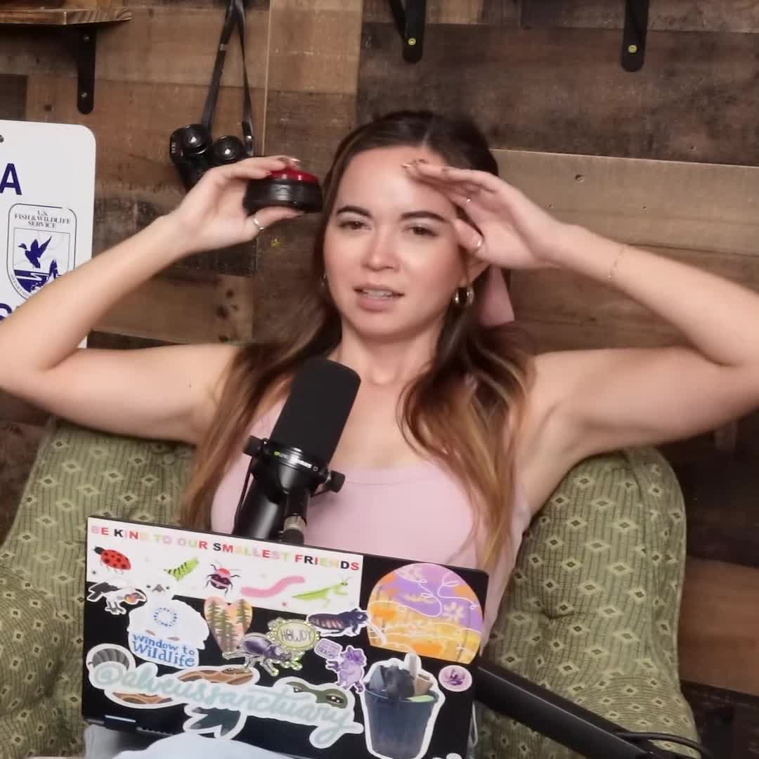 Video 589572 from Mayahiga | maya