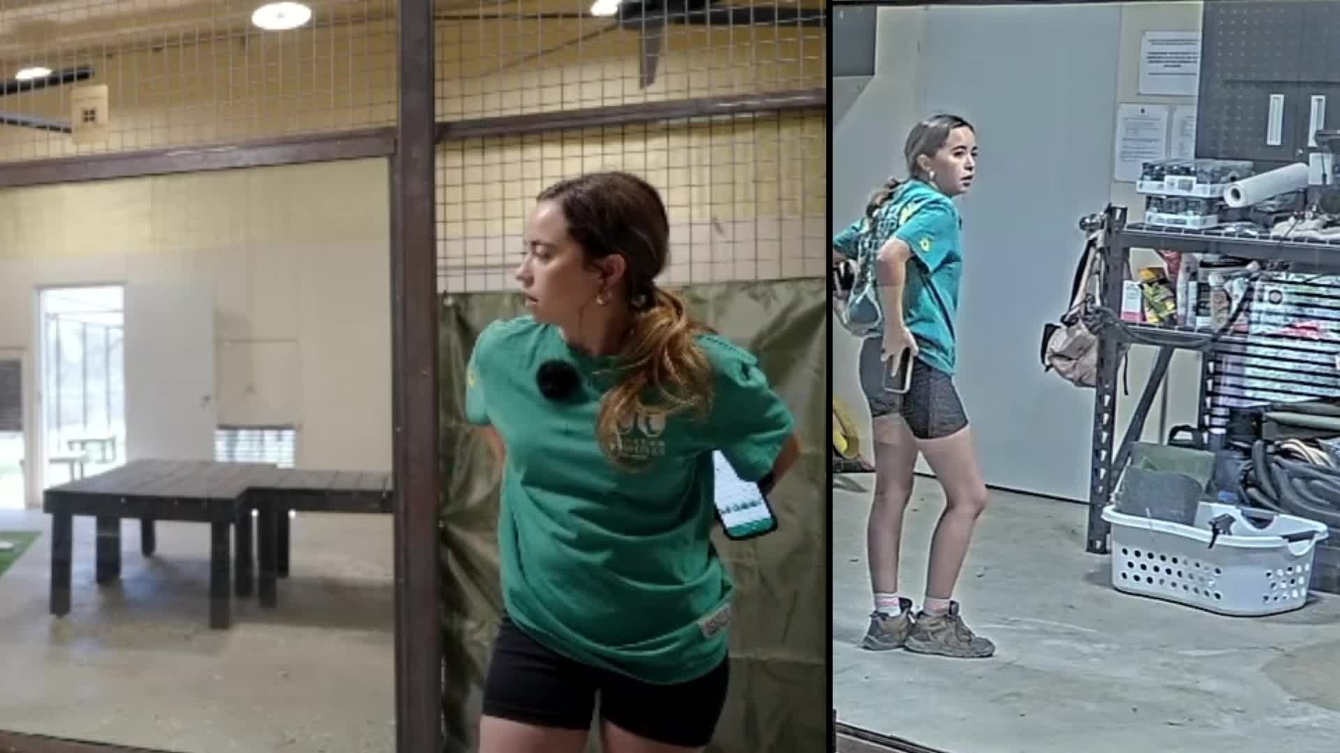 Video 589610 from Mayahiga | maya