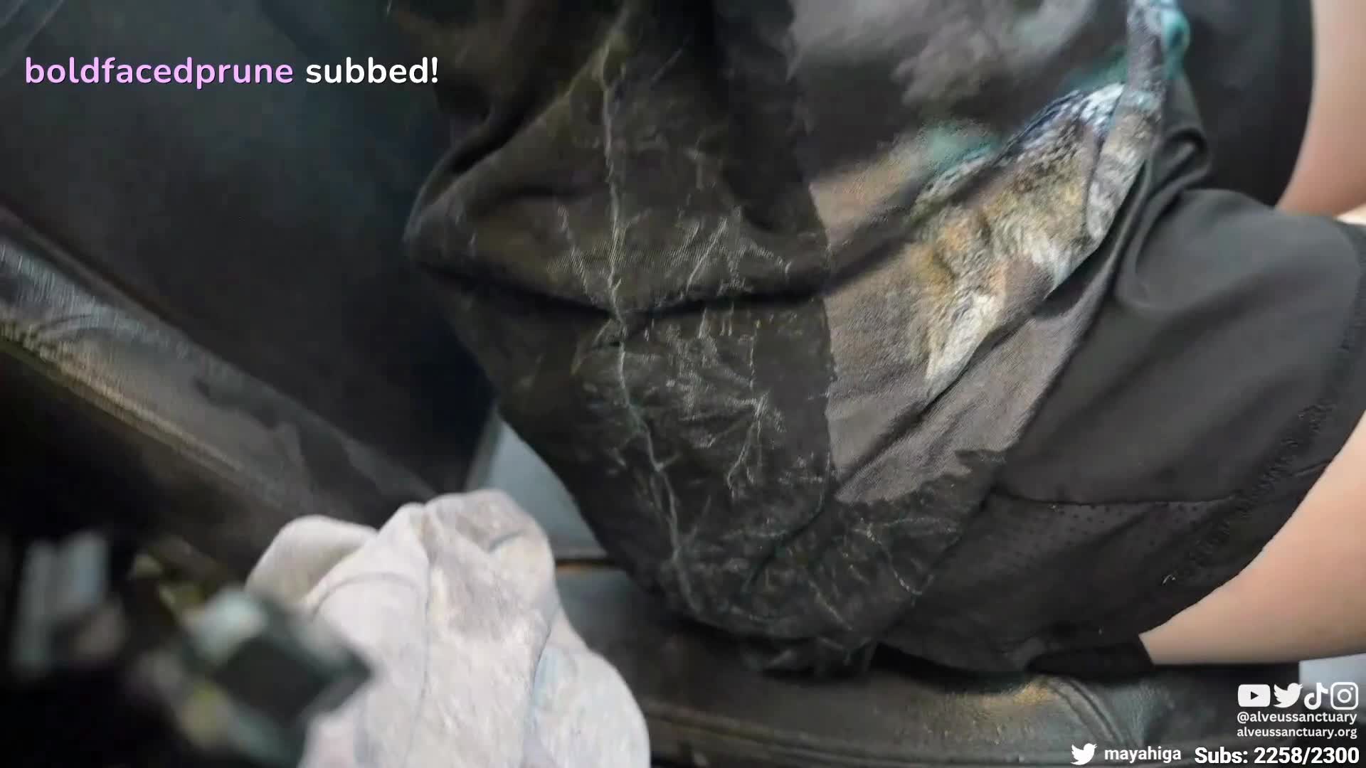 Video 589657 from Mayahiga | maya