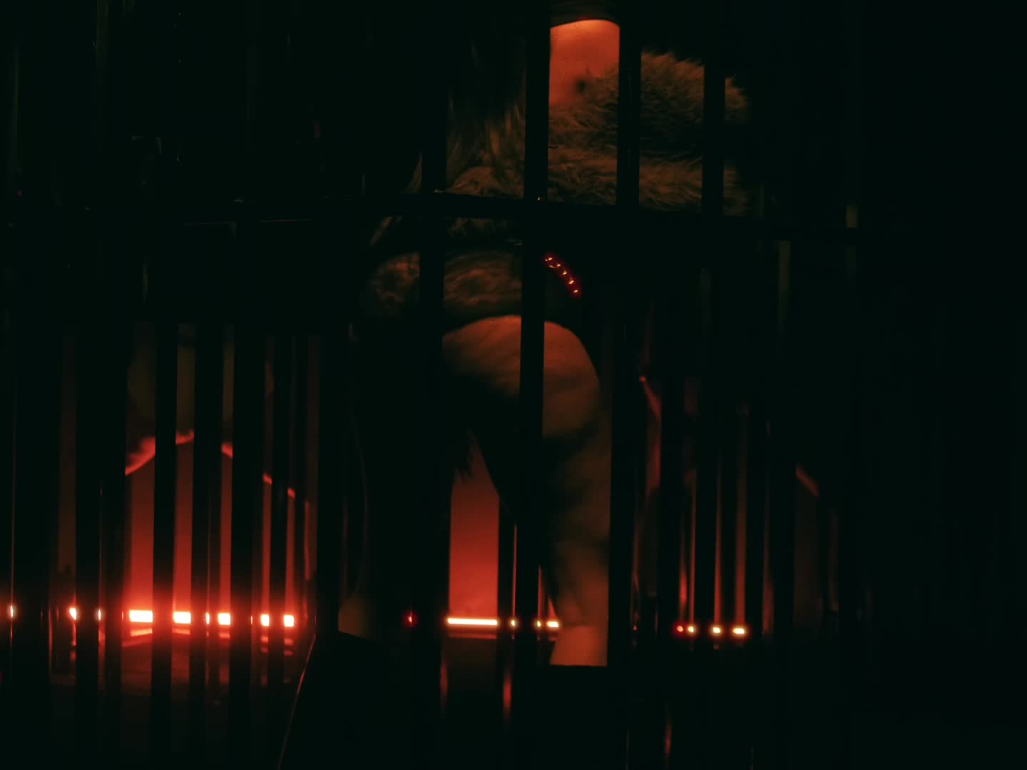 Video 589675 from Yailin La Mas Viral