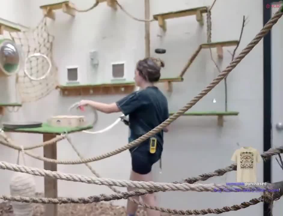 Video 589690 from Mayahiga | maya