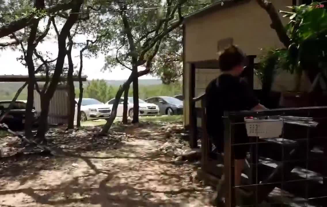 Video 589691 from Mayahiga | maya