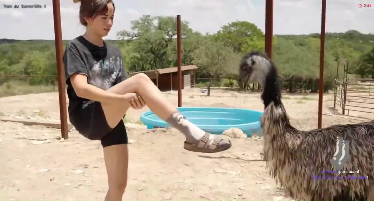 Video 589692 from Mayahiga | maya