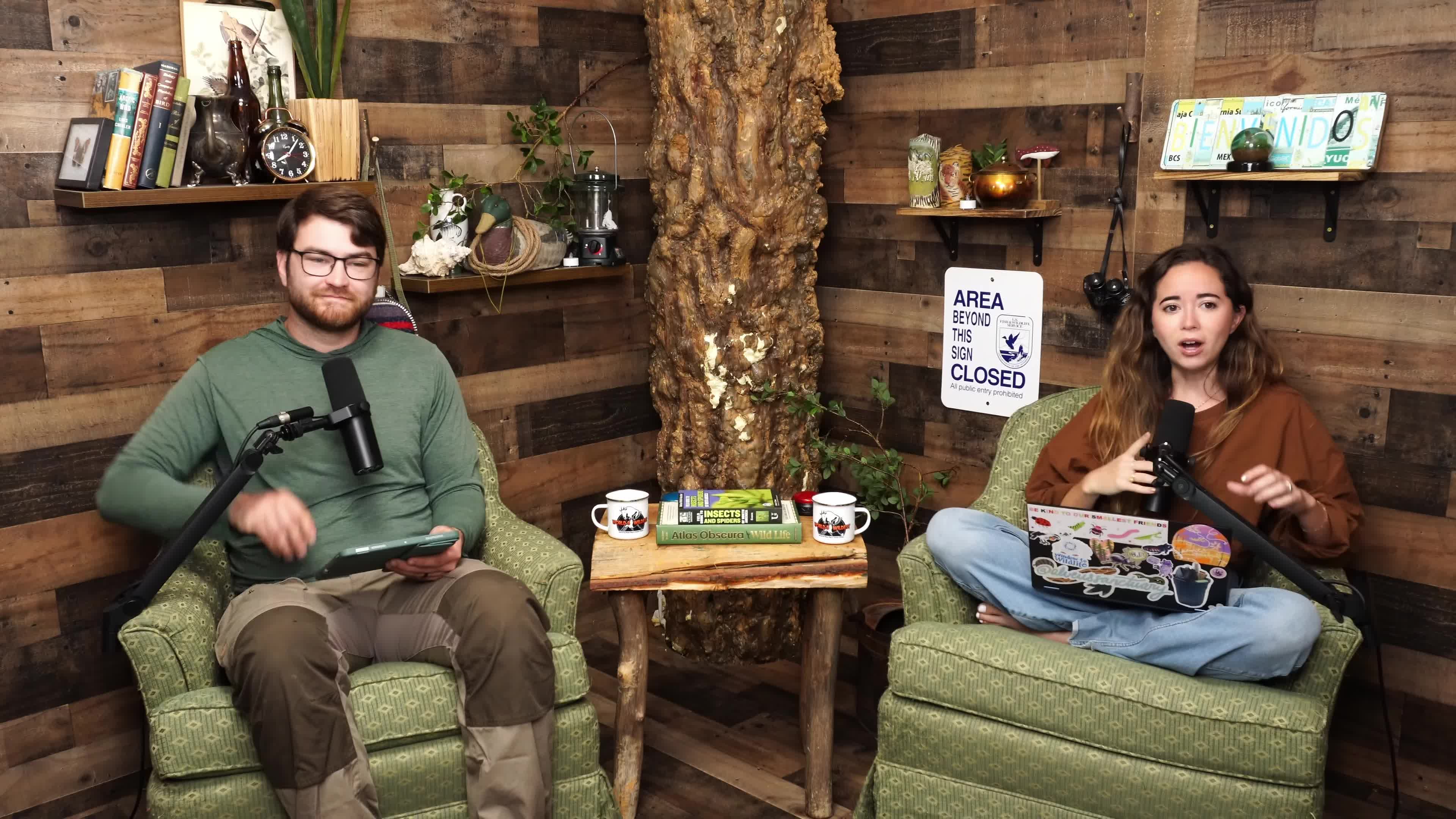 Video 589694 from Mayahiga | maya