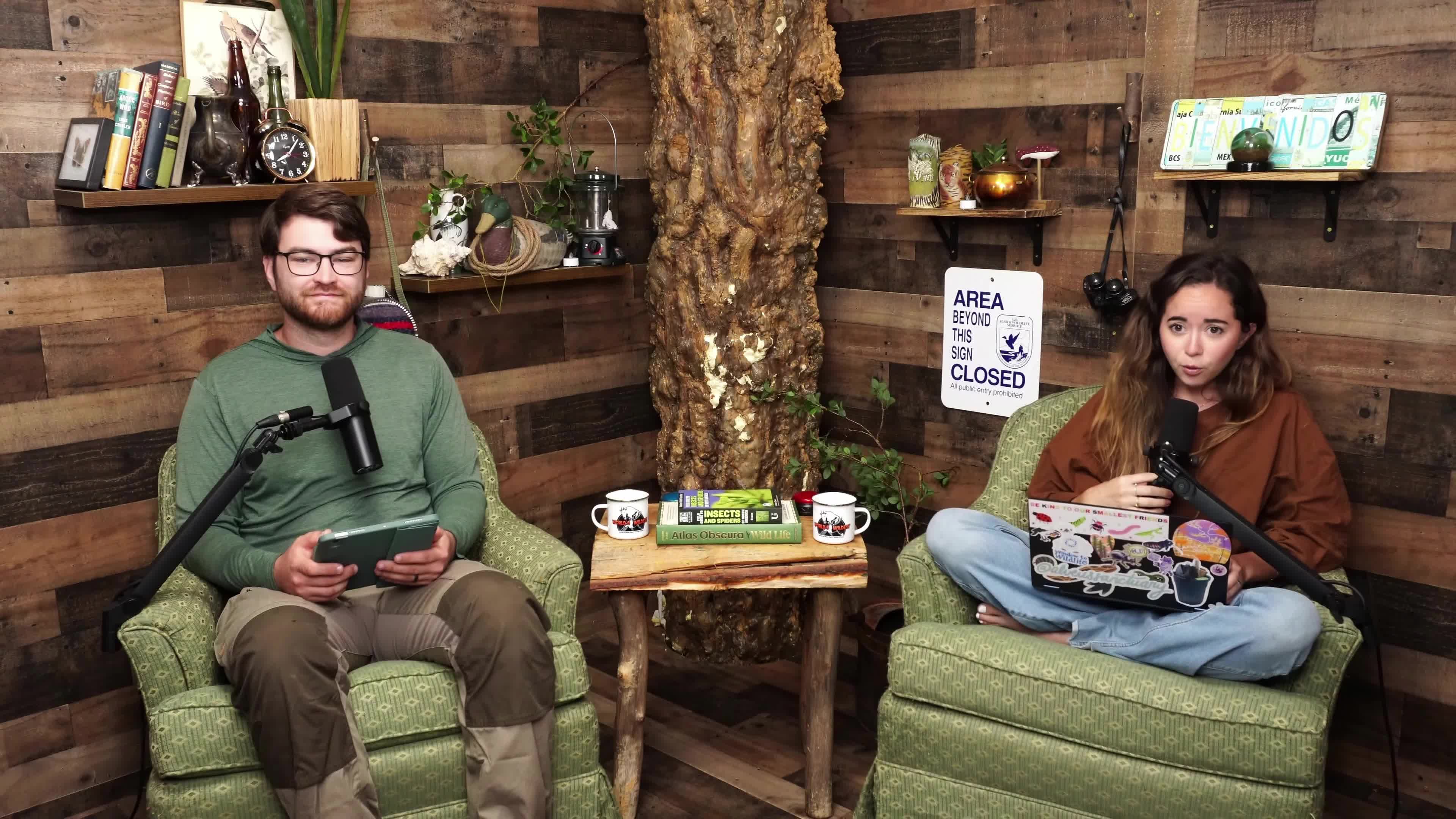 Video 589695 from Mayahiga | maya