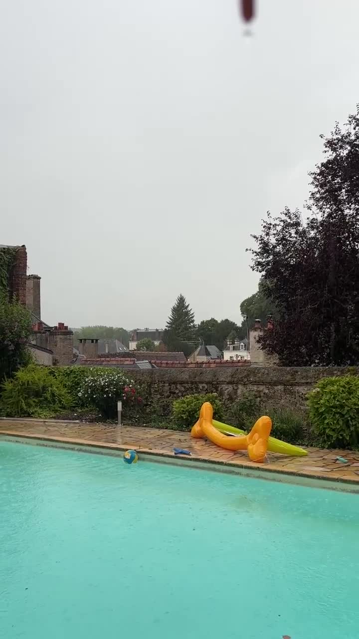 Video 590019 from Lily Brooks O’Briant