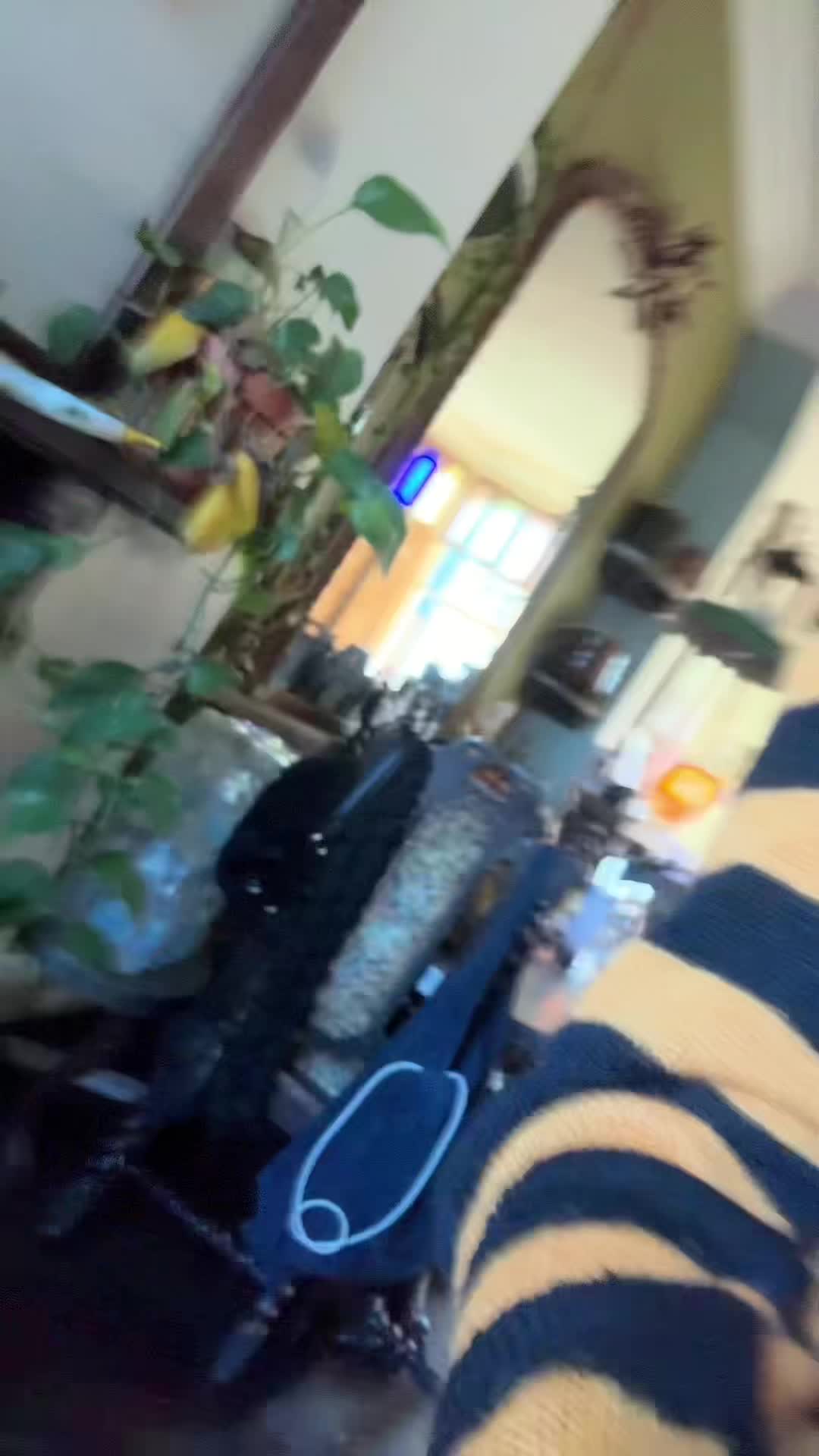 Video 592849 from beabadoobee radvxz