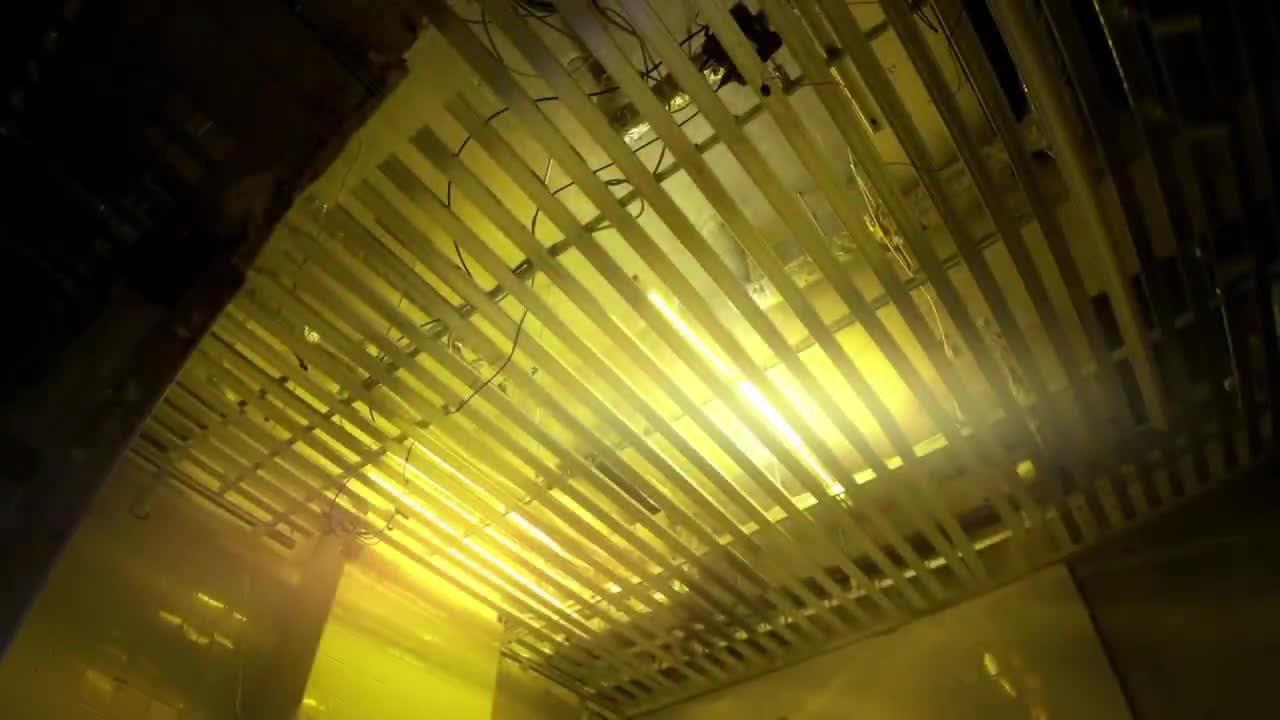 Video 593347 from Momotino Momochino